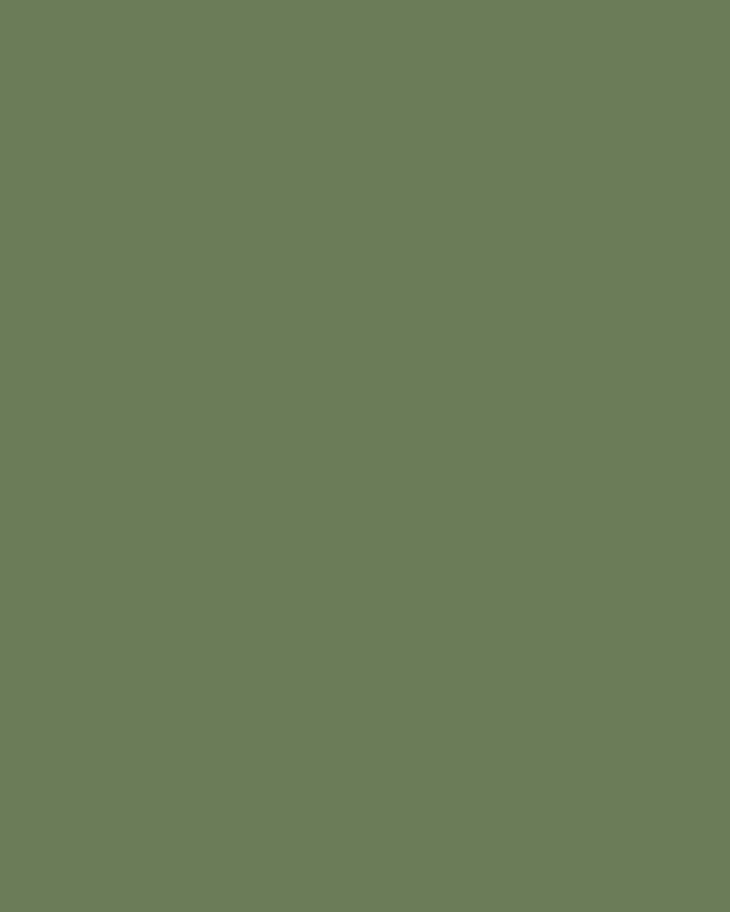 Corporate Olive