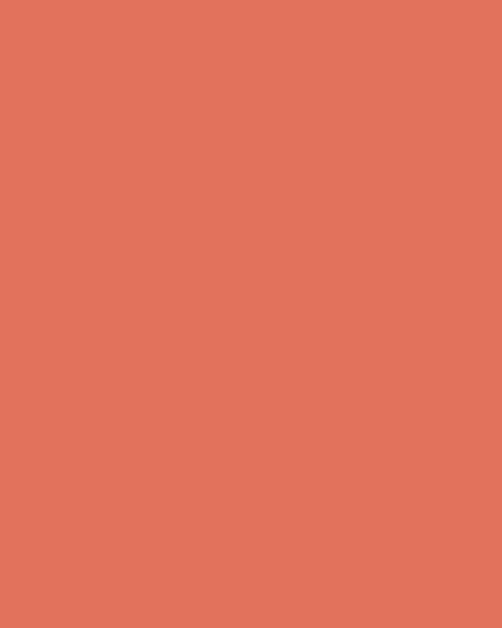 Terracotta Clean